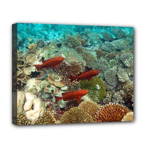 Coral Garden 1 Deluxe Canvas 20  X 16   by trendistuff