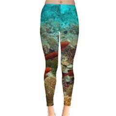 Coral Garden 1 Leggings  by trendistuff