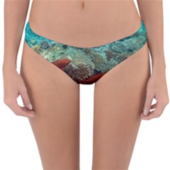 Coral Garden 1 Reversible Hipster Bikini Bottoms by trendistuff