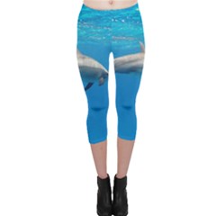 Dolphin 3 Capri Leggings  by trendistuff