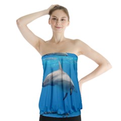 Dolphin 3 Strapless Top by trendistuff