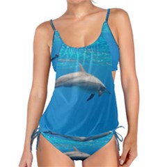 Dolphin 3 Tankini Set by trendistuff