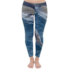 Dolphin 4 Classic Winter Leggings by trendistuff