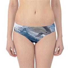 Dolphin 4 Hipster Bikini Bottoms by trendistuff