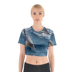 Dolphin 4 Cotton Crop Top by trendistuff