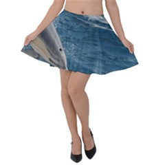 Dolphin 4 Velvet Skater Skirt by trendistuff