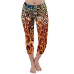 Fire Coral 1 Capri Winter Leggings  by trendistuff