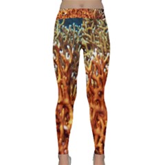 Fire Coral 1 Classic Yoga Leggings by trendistuff