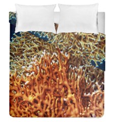 Fire Coral 1 Duvet Cover Double Side (queen Size) by trendistuff