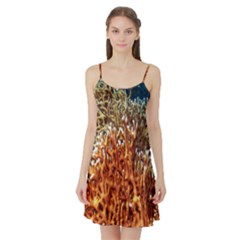 Fire Coral 1 Satin Night Slip by trendistuff