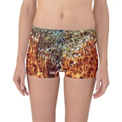 Fire Coral 1 Reversible Boyleg Bikini Bottoms by trendistuff