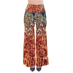 Fire Coral 1 Pants by trendistuff