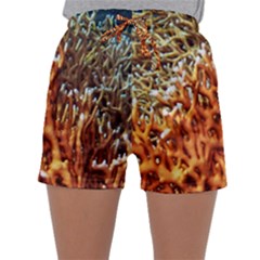 Fire Coral 1 Sleepwear Shorts by trendistuff