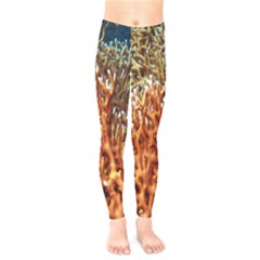 Fire Coral 1 Kids  Legging by trendistuff