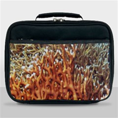 Fire Coral 1 Lunch Bag by trendistuff