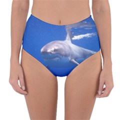 Great White Shark 4 Reversible High-waist Bikini Bottoms by trendistuff