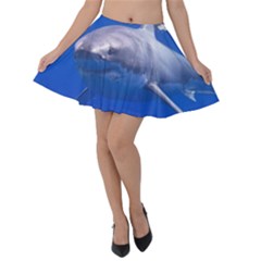 Great White Shark 4 Velvet Skater Skirt by trendistuff