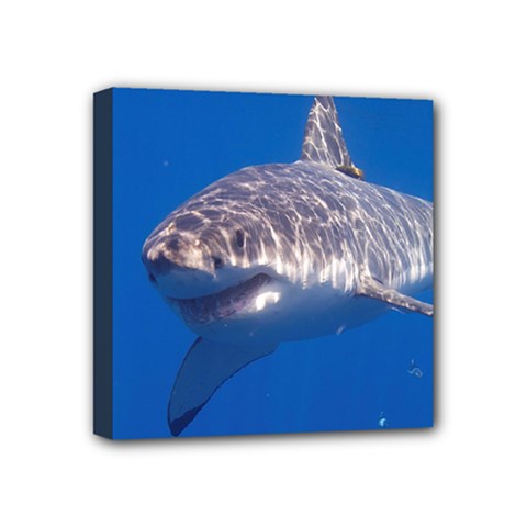 GREAT WHITE SHARK 5 Mini Canvas 4  x 4 