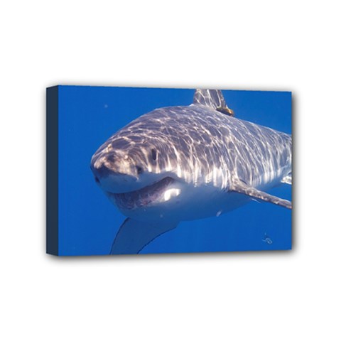 GREAT WHITE SHARK 5 Mini Canvas 6  x 4 