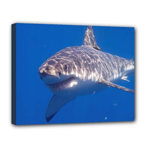 GREAT WHITE SHARK 5 Canvas 14  x 11 