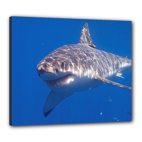 GREAT WHITE SHARK 5 Canvas 24  x 20 