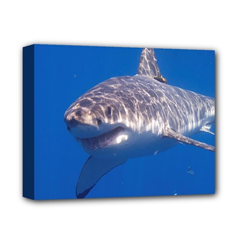 GREAT WHITE SHARK 5 Deluxe Canvas 14  x 11 