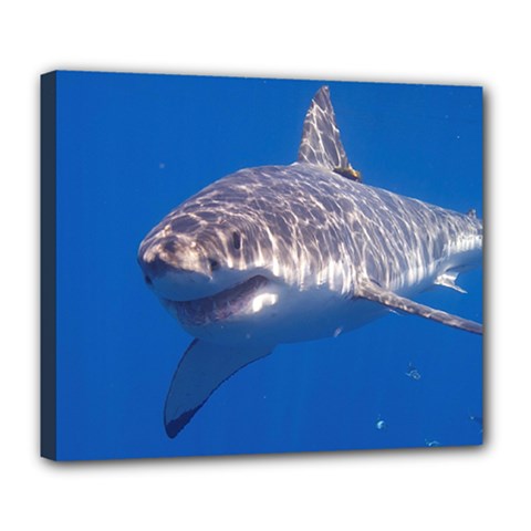 GREAT WHITE SHARK 5 Deluxe Canvas 24  x 20  