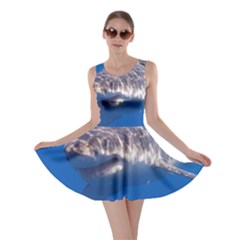 GREAT WHITE SHARK 5 Skater Dress