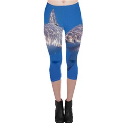 Great White Shark 5 Capri Leggings  by trendistuff