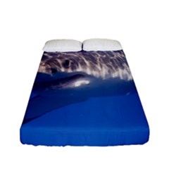 Great White Shark 5 Fitted Sheet (full/ Double Size) by trendistuff