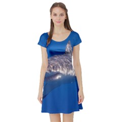 GREAT WHITE SHARK 5 Short Sleeve Skater Dress