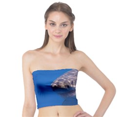 Great White Shark 5 Tube Top by trendistuff