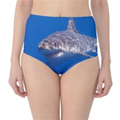 GREAT WHITE SHARK 5 High-Waist Bikini Bottoms