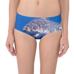 Great White Shark 5 Mid-waist Bikini Bottoms by trendistuff