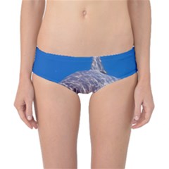 GREAT WHITE SHARK 5 Classic Bikini Bottoms