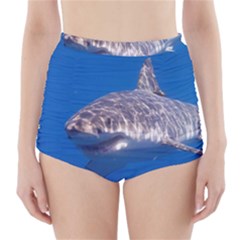 GREAT WHITE SHARK 5 High-Waisted Bikini Bottoms