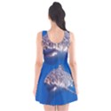 GREAT WHITE SHARK 5 Scoop Neck Skater Dress View2