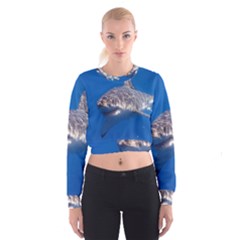 GREAT WHITE SHARK 5 Cropped Sweatshirt