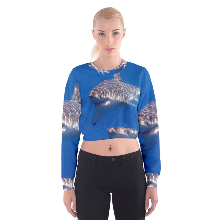 GREAT WHITE SHARK 5 Cropped Sweatshirt