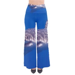 GREAT WHITE SHARK 5 Pants