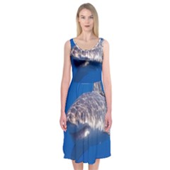 GREAT WHITE SHARK 5 Midi Sleeveless Dress