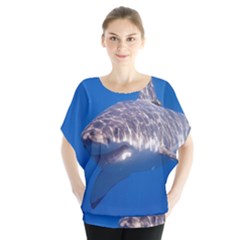 GREAT WHITE SHARK 5 Blouse