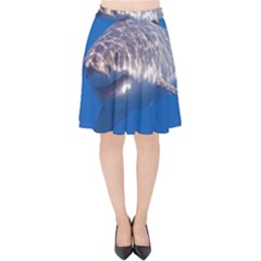 GREAT WHITE SHARK 5 Velvet High Waist Skirt