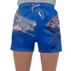 GREAT WHITE SHARK 5 Sleepwear Shorts