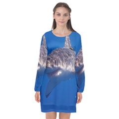 GREAT WHITE SHARK 5 Long Sleeve Chiffon Shift Dress 