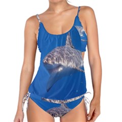 GREAT WHITE SHARK 5 Tankini Set