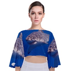 GREAT WHITE SHARK 5 Tie Back Butterfly Sleeve Chiffon Top