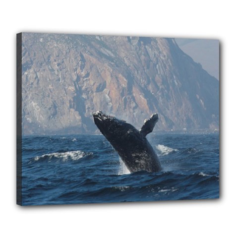 Humpback 1 Canvas 20  X 16  by trendistuff