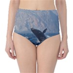 HUMPBACK 1 High-Waist Bikini Bottoms