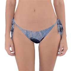 Humpback 1 Reversible Bikini Bottom by trendistuff